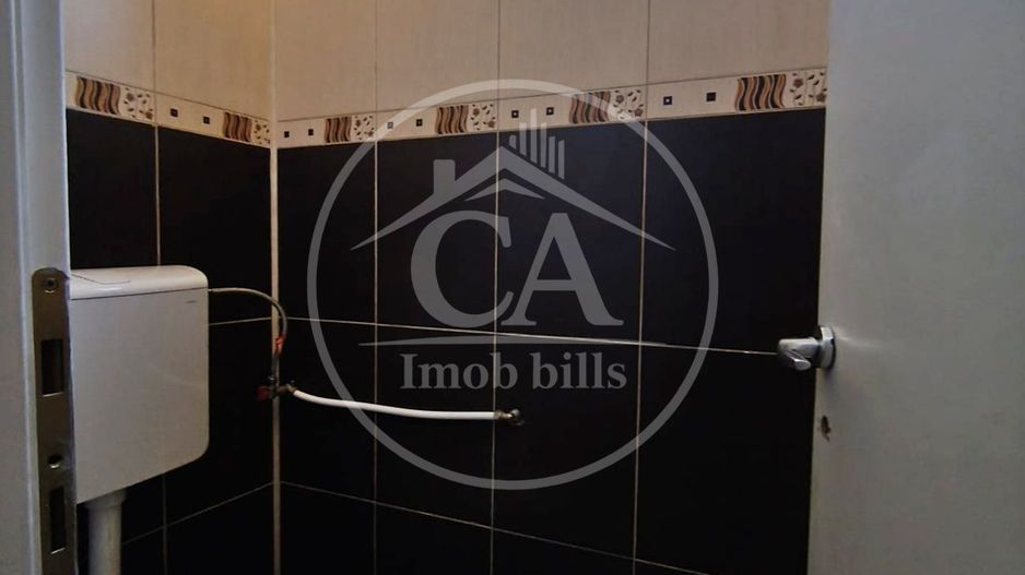 Casa de inchiriat cu 4 camere si piscina in Santandrei, Bihor - Poză 20