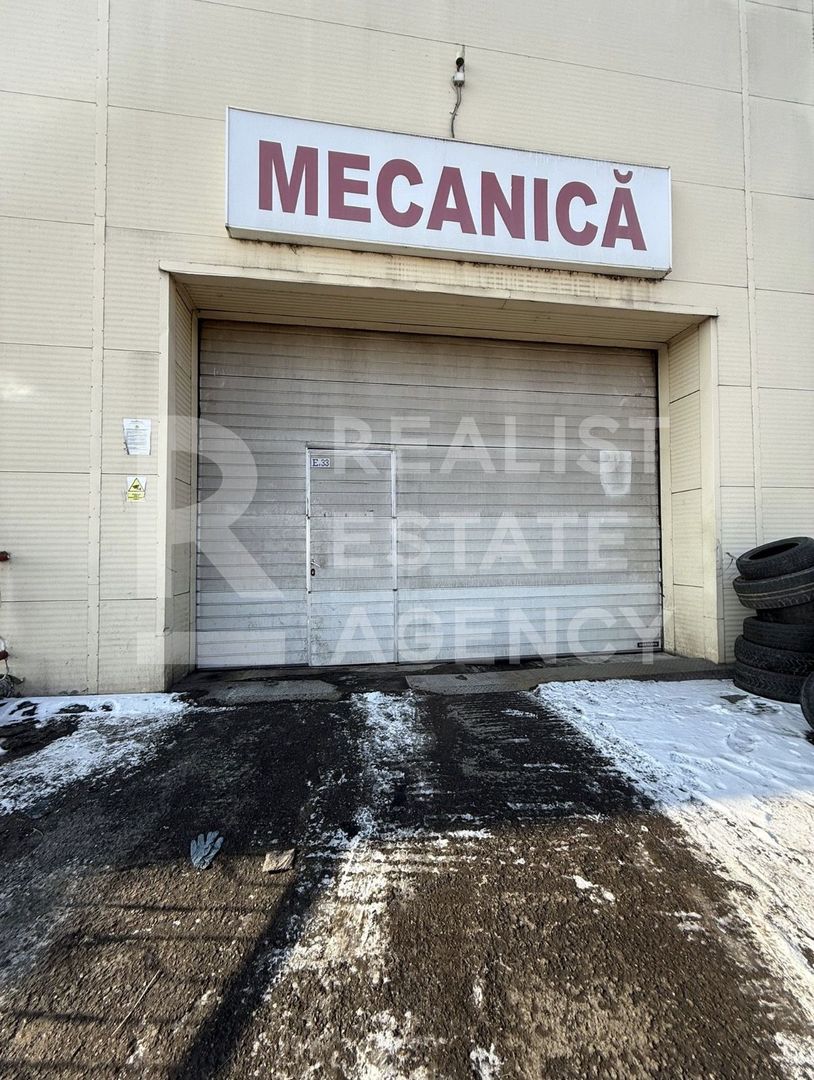 Service auto de închiriat, 6 elevatoare, Iași - Poză 2