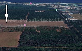 Vânzare Teren pentru Dezvoltare Turistică în Stațiunea Neptun - Poză 3