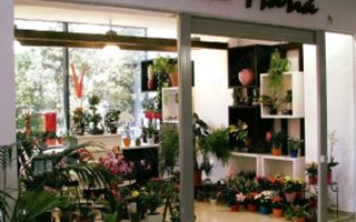 De vanzare afacere la cheie iasi, florarie - Poză 1