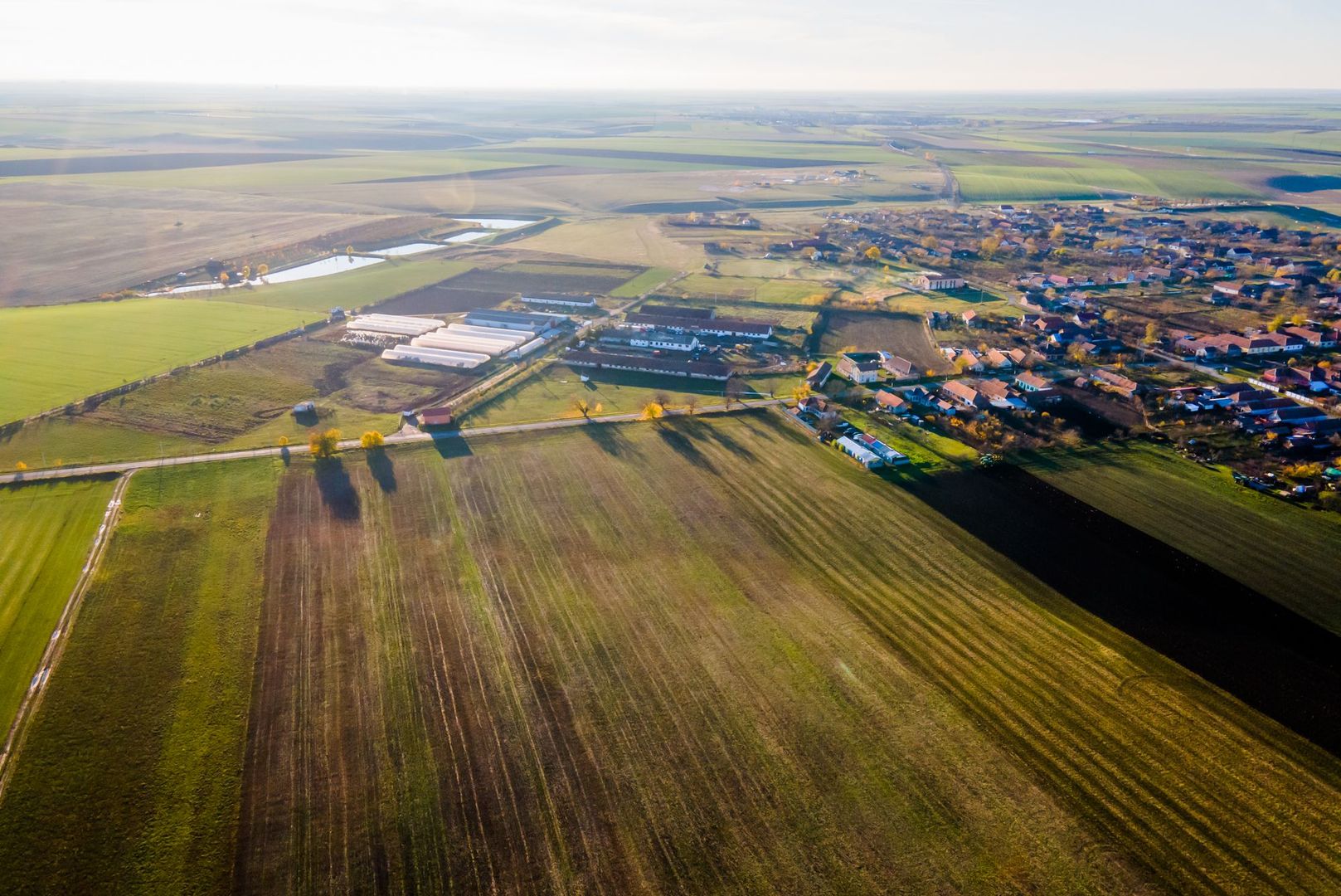 Teren agricol 130 ha Cruceni - Poză 2