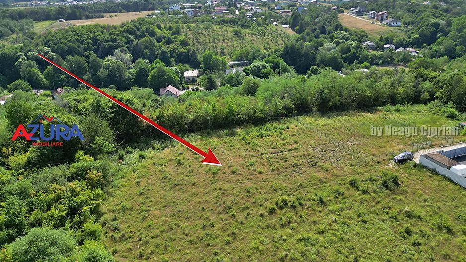 AZURA Imobiliare - Vanzare teren Smeura, zona verde - Poză 8