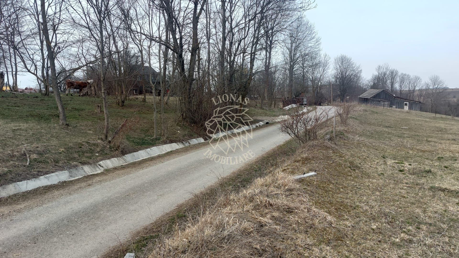 COMISION O Casă tradițională de vânzare 60MP teren intravilan 2295MP MARGAU CLUJ - Poză 12