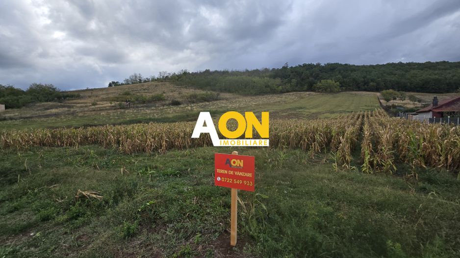 Teren Intravilan 5650mp Hapria, la Drum Principal - Poză 2