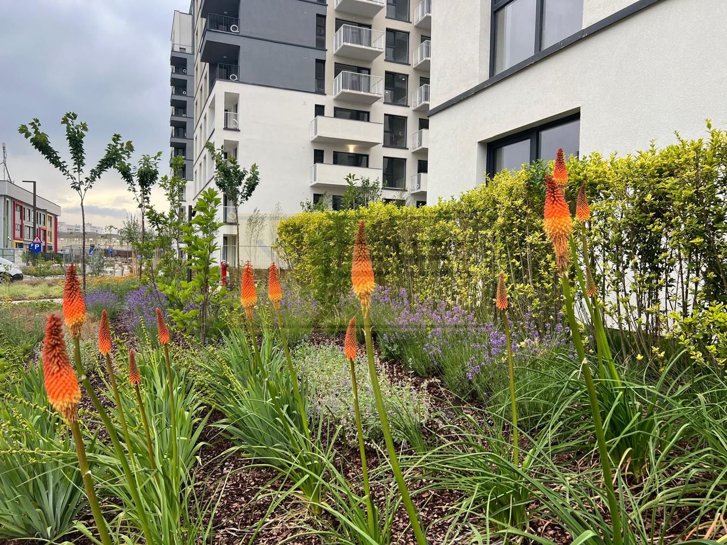 Apartament 3 camere premium  Silk District - Poză 14