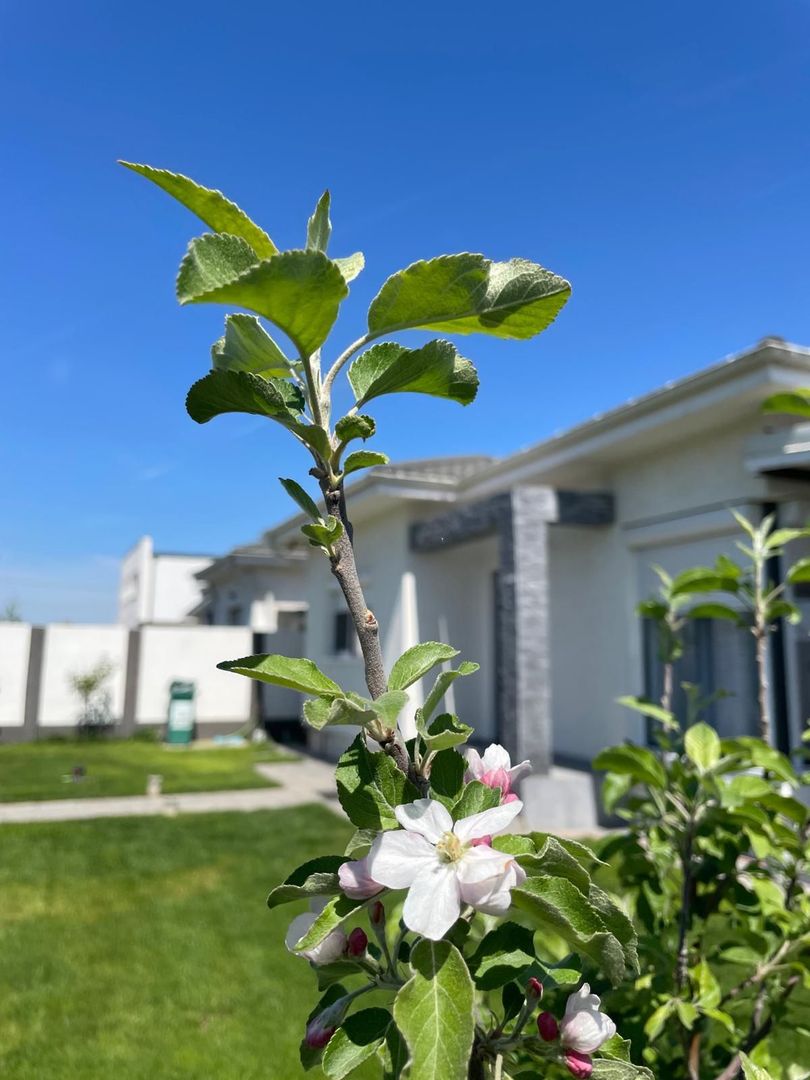 Casă în Clinceni  Ideală pentru Familie - Poză 4