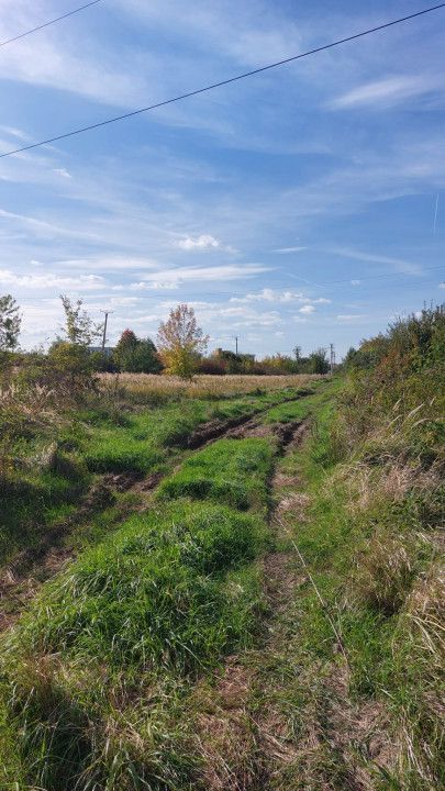 Vanzare teren industrial, zona Vama - Arpechim - Poză 2