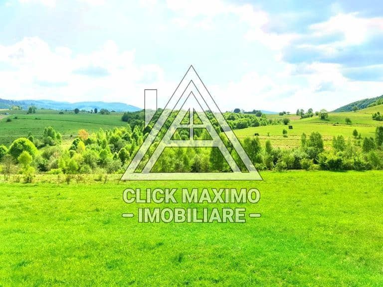 25.000 mp TEREN Ciucea – Calea Lata, jud. Cluj - Poză 5