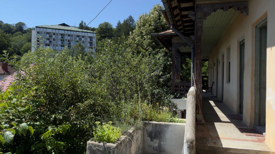 Casa | Bradetu, Arges | Crama | Tranfagarasan | Vidraru - Poză 27