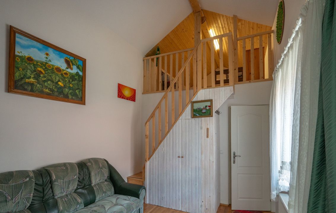 De Vânzare Casă Vânătorilor 9 ari teren - Poză 18