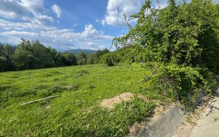 TEREN INTRAVILAN 2943 MP CAMPULUNG - Poză 5