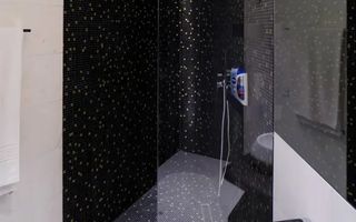 Penthouse deosebit One Herastrau Park I View superb - Poză 14