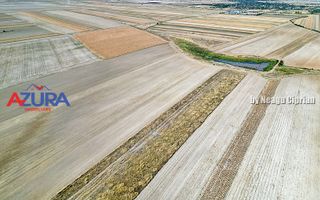 Teren agricol, 5HA, comasat, drum acces, Cateasca - Poză 6