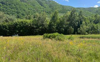 Teren intravilan 4600mp - 55 EUR/mp - EXCLUSIVITATE CISNADIOARA - COMISION 0% - Poză 9