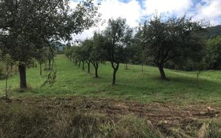 Teren extravilan - Sibiel, Sibiu - Poză 1