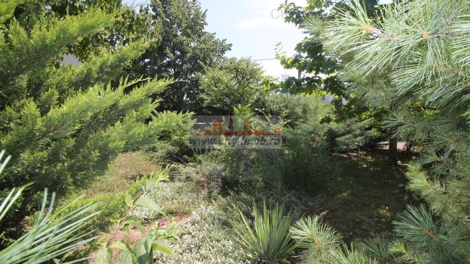 Vanzare Vila  Pipera 1350 mp teren adiacent Iancu Nicolae - Poză 51