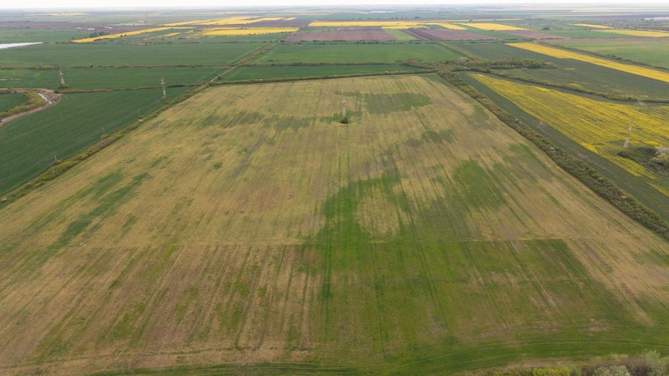 Teren investițional strategic 44.700 mp Arad Vest - Poză 7