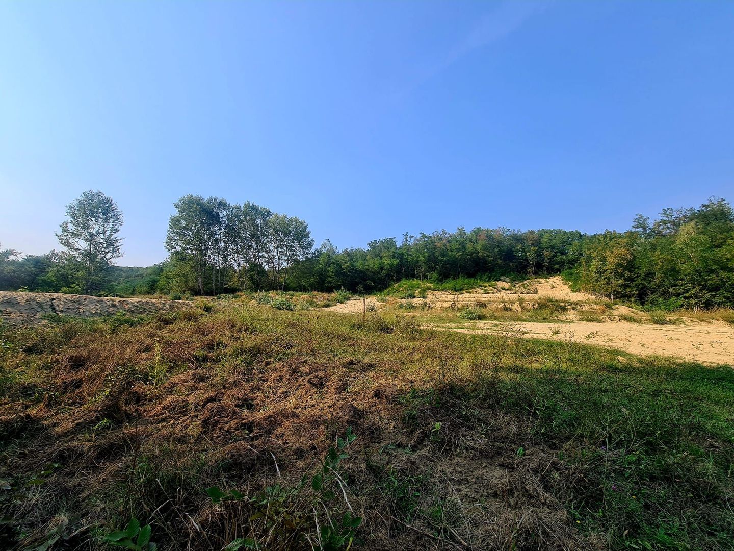 Teren intravilan de vanzare - Bujoreni - Poză 7