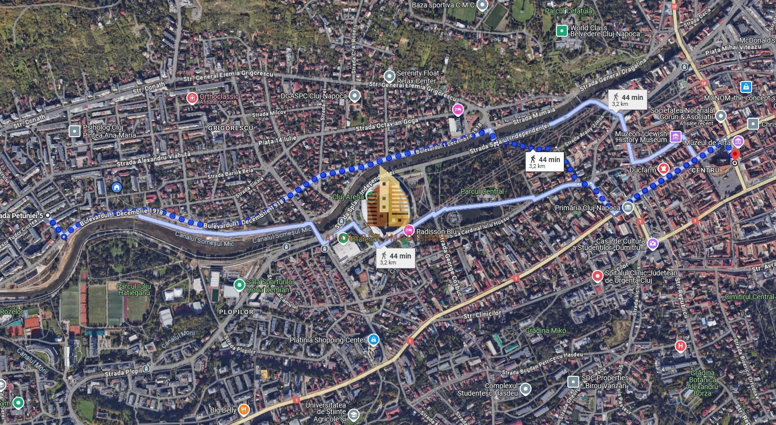 | Apartament cu 3 camere de vanzare | Cartierul Grigorescu | Etaj 1| Decomantat - Poză 7