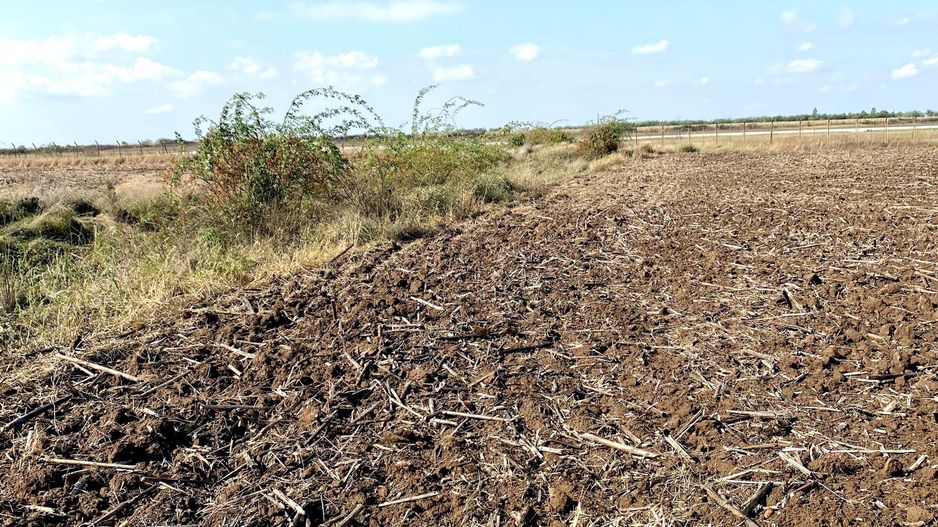 Teren pentru investitii zona Grigorescu - Poză 3