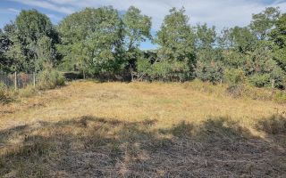 Teren intravilan 482 mp în Chicerea, comuna Tomești, ideal pentru construcție casă - Poză 2