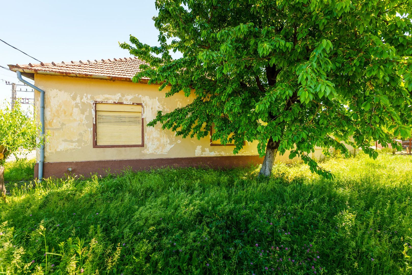 Casă cu potențial în Iratoș - Poză 4