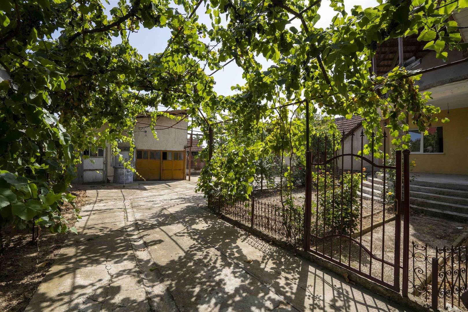 Casa de vanzare D+P+M Tarian - Poză 2