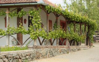 Pivnițele Birăuaș D.O.C Miniș - RATE FĂRĂ DOBÂNDĂ - Poză 58