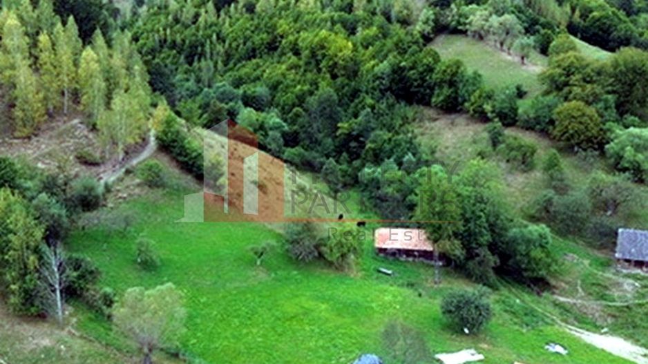 Teren de investiție în Moieciu, lângă Castelul Bran – 11.381 mp, vedere Bucegi - Poză 15