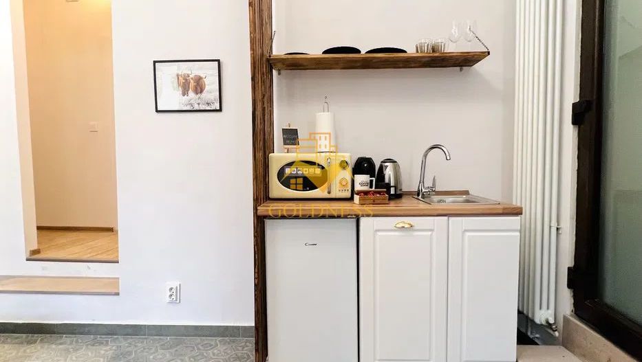 Garsoniera,Zona Mihai Viteazul,Mc Donald s,Ultracentral,Carrefour. - Poză 3