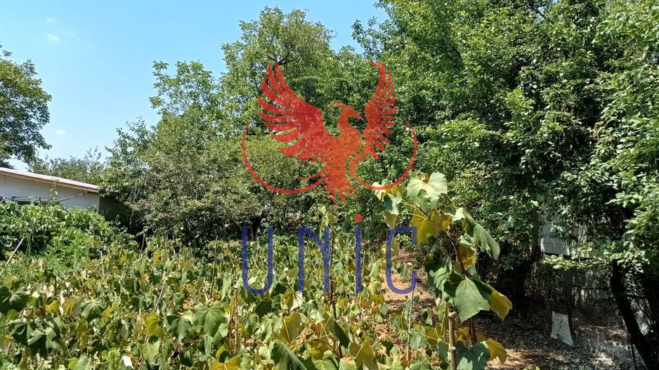 Teren Drumul Muntenilor, 980 mp, 2 deschideri - Poză 6