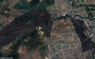 Tamasi, langa padure, 12.824 mp, deschidere 45 ml, teren cu potential - Poză 5