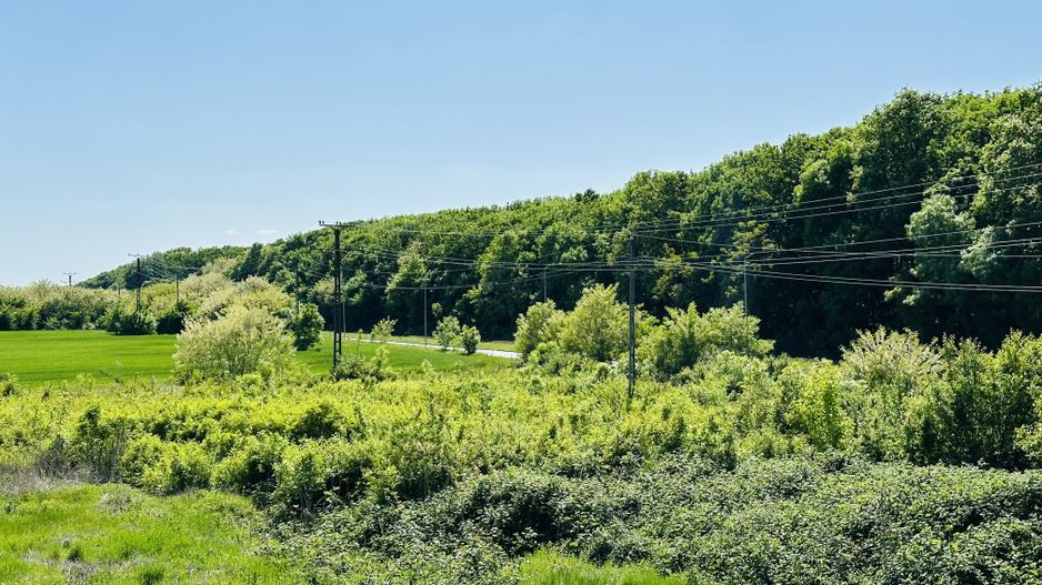 Design Ultramodern | Pompa de caldura | 131 mp, 4 bai | Langa Padure - Poză 27