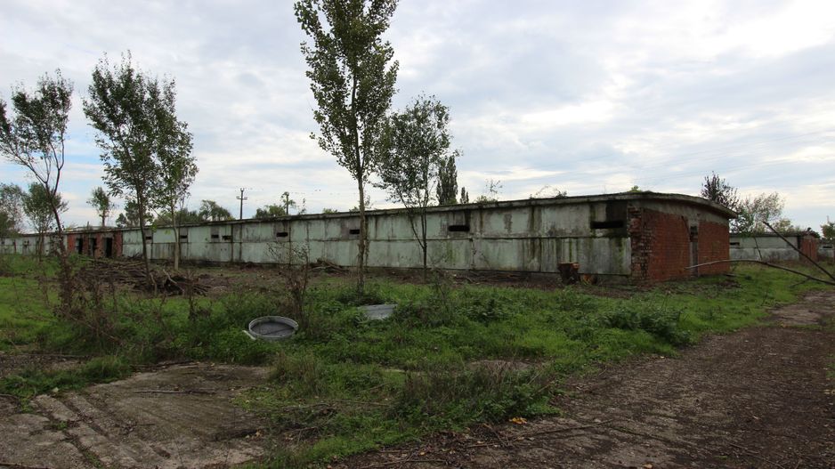 Vanzare hale Mosnita Noua-fosta Ferma 7 - Poză 41