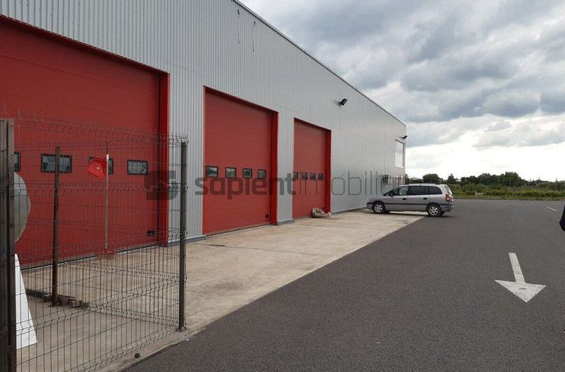 Sapient | Centru logistic lângă Oradea - Poză 5