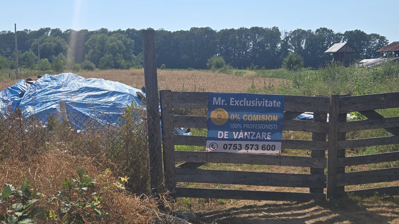 Teren 10.294 mp de vânzare Târgu Jiu | Intravilan + Extravilan | Utilități - Poză 10