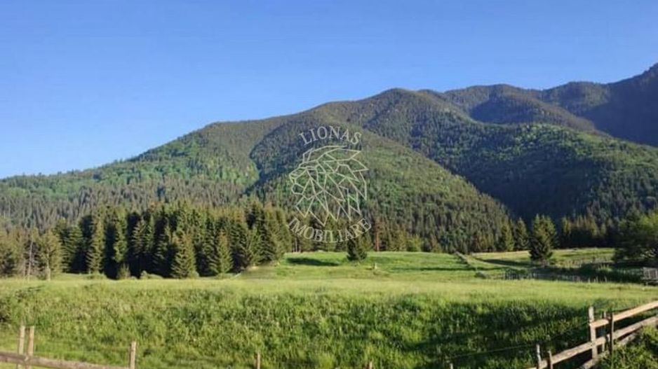 Teren PIATRA FANTANELE - 11.800 mp- ideal investitie, pensiune, hotel - Poză 2