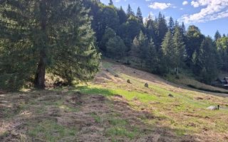 Teren intravilan la munte - Poză 2