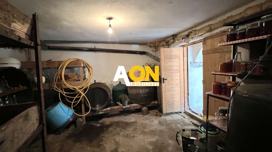 Casa de vanzare pretabila 2 familii, garaj, livada, comuna Pianu - Poză 36