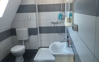 Apartament cu 3 camere, cu 2 etaje în Centru - Poză 7