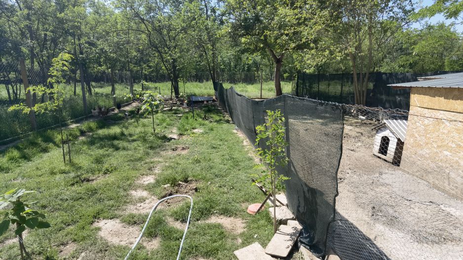 Casa Periam Port - Poză 17