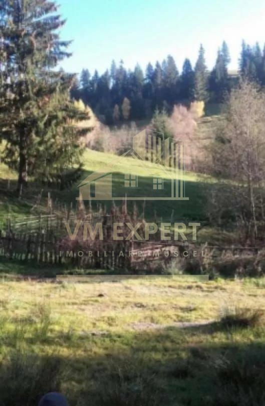 TEREN INTRAVILAN 4195 MP, LERESTI, ARGES - Poză 1