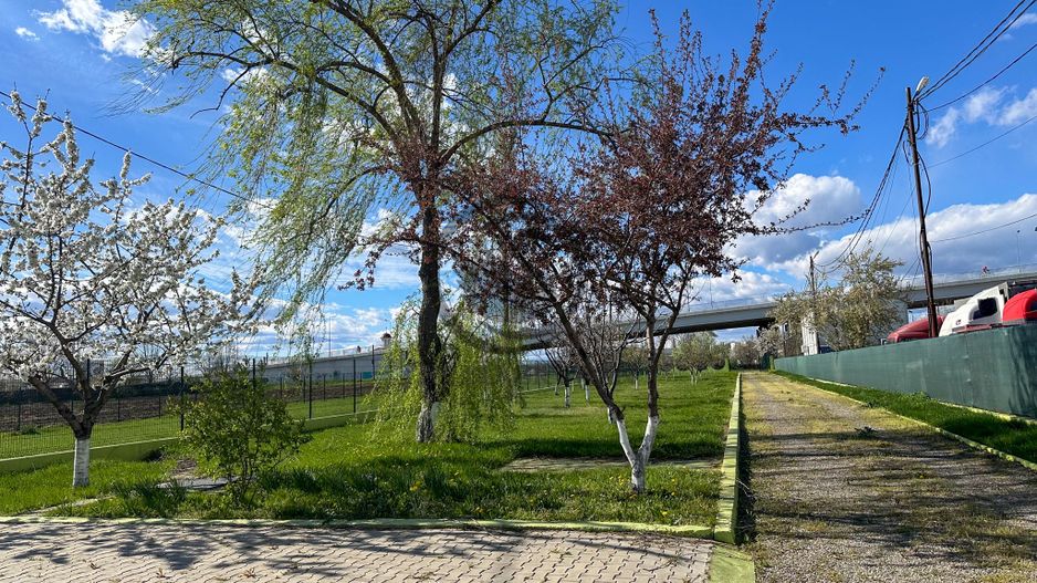 Cladire de birouri de inchirat | 500 mpu | Ploiesti | Comision 0% - Poză 20