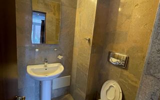 Duplex de 320mp, modern, 120mp, sauna, zona strazii Zaharia Stancu - Poză 9