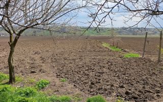 Casă tradițională cu teren generos în Oțeleni, județul Iași - Poză 3