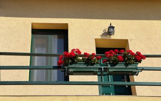 Business la cheie - Proprietate tip pensiune cu rating 9,8/10 Booking - Poză 14