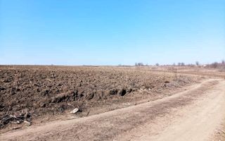 Teren Agricol de Vânzare - 162 Ari în or. Singera, Extravilan 🌿 - Poză 2