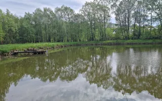CASA 3 CAMERE, TEREN 6200 MP + 2 LACURI, CAMPULUNG, NAMAIESTI - Poză 12