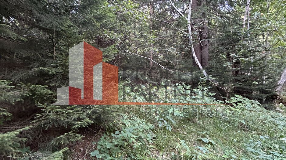 Teren generos de 8.267 mp în Predeal, Strada Nicolae Bălcescu. - Poză 4