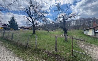 TEREN INTRAVILAN 4365 MP POENARII DE MUȘCEL  JUDEȚUL ARGES - Poză 19